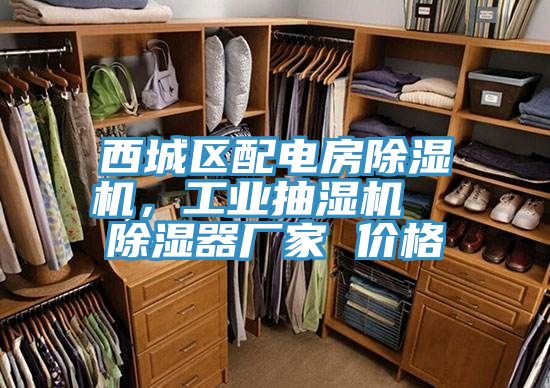 西城區(qū)配電房除濕機(jī)，工業(yè)抽濕機(jī)  除濕器廠家 價格