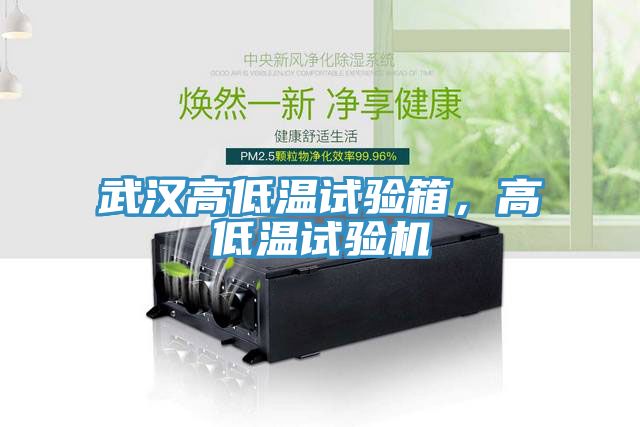 武漢高低溫試驗(yàn)箱，高低溫試驗(yàn)機(jī)