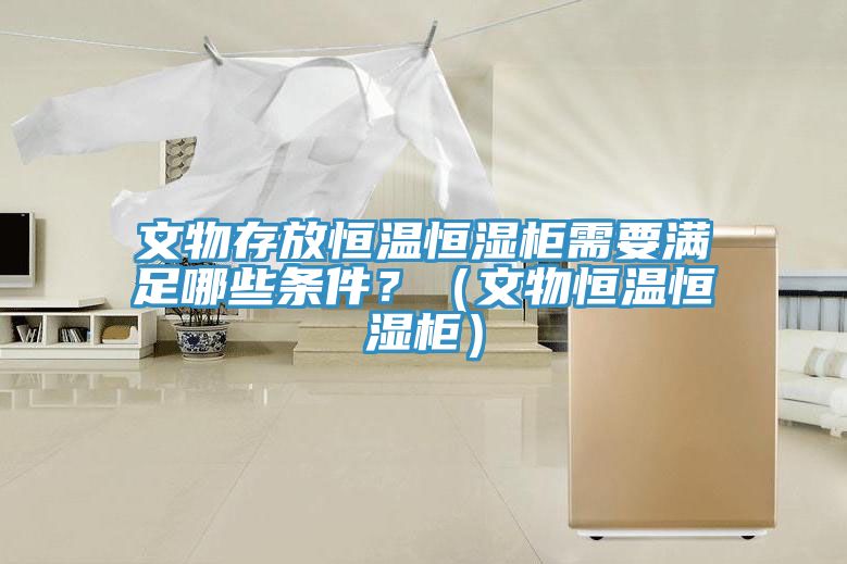 文物存放恒溫恒濕柜需要滿(mǎn)足哪些條件？（文物恒溫恒濕柜）