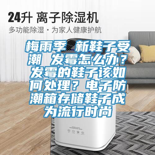梅雨季 新鞋子受潮 發(fā)霉怎么辦？發(fā)霉的鞋子該如何處理？電子防潮箱存儲鞋子成為流行時尚