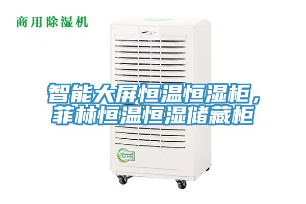 智能大屏恒溫恒濕柜，菲林恒溫恒濕儲藏柜