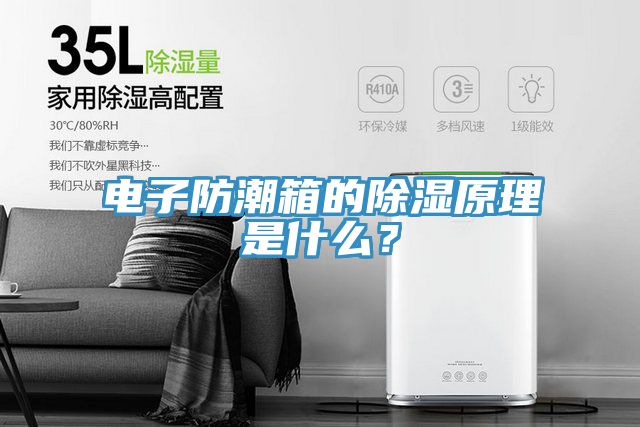 電子防潮箱的除濕原理是什么？