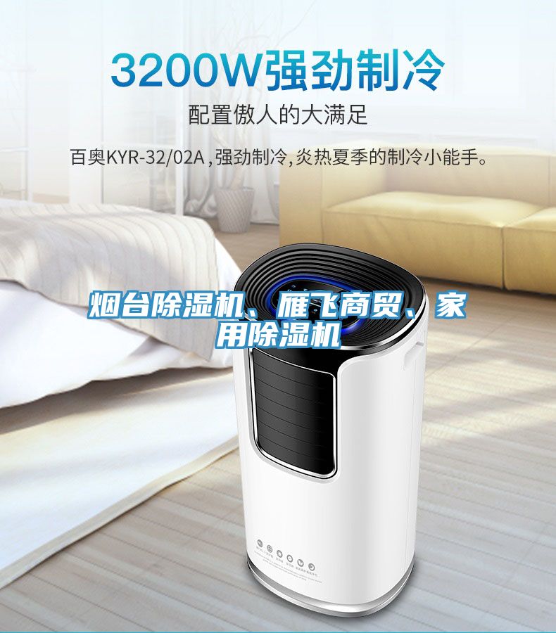 煙臺除濕機(jī)、雁飛商貿(mào)、家用除濕機(jī)
