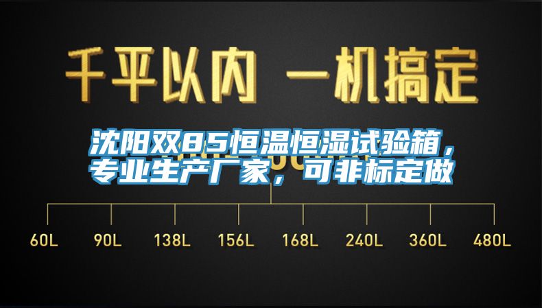沈陽雙85恒溫恒濕試驗箱，專業(yè)生產(chǎn)廠家，可非標定做