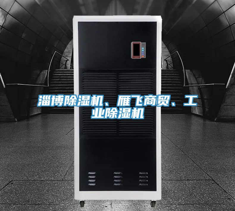 淄博除濕機(jī)、雁飛商貿(mào)、工業(yè)除濕機(jī)