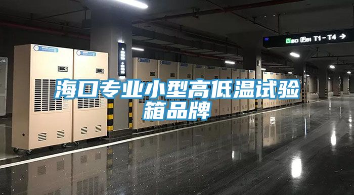?？趯I(yè)小型高低溫試驗(yàn)箱品牌