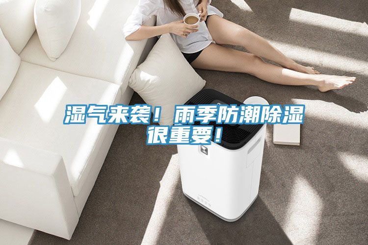 濕氣來(lái)襲！雨季防潮除濕很重要！