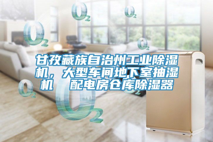 甘孜藏族自治州工業(yè)除濕機(jī)，大型車間地下室抽濕機(jī)  配電房倉(cāng)庫(kù)除濕器