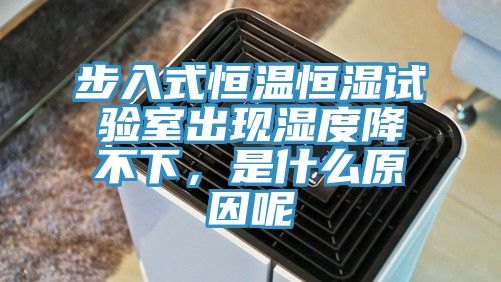 步入式恒溫恒濕試驗(yàn)室出現(xiàn)濕度降不下，是什么原因呢