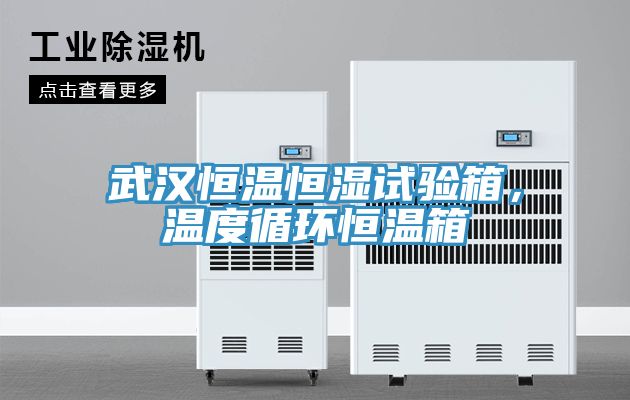 武漢恒溫恒濕試驗(yàn)箱，溫度循環(huán)恒溫箱