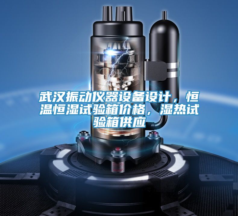 武漢振動(dòng)儀器設(shè)備設(shè)計(jì)，恒溫恒濕試驗(yàn)箱價(jià)格，濕熱試驗(yàn)箱供應(yīng)