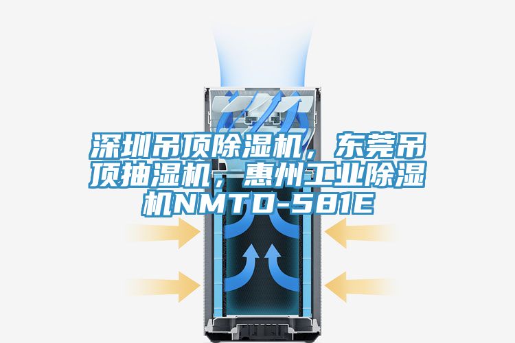 深圳吊頂除濕機(jī)，東莞吊頂抽濕機(jī)，惠州工業(yè)除濕機(jī)NMTD-581E
