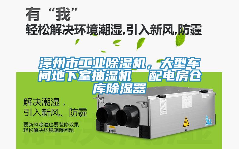 漳州市工業(yè)除濕機，大型車間地下室抽濕機  配電房倉庫除濕器