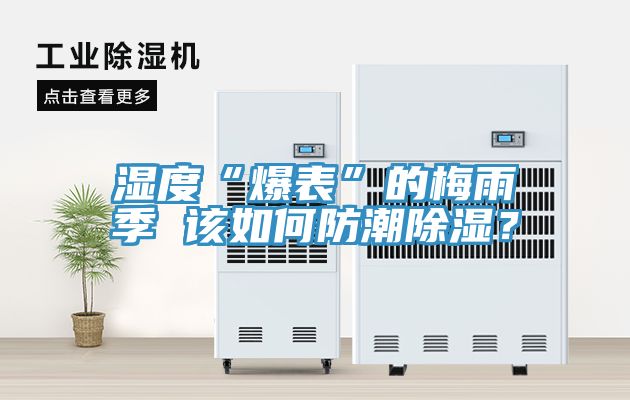 濕度“爆表”的梅雨季 該如何防潮除濕？