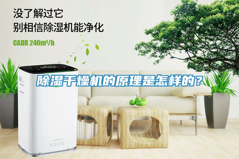 除濕干燥機的原理是怎樣的？