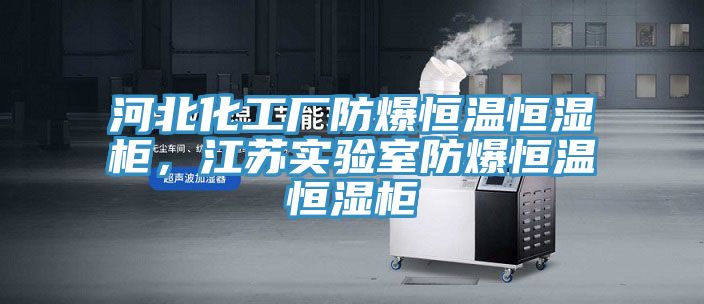 河北化工廠防爆恒溫恒濕柜，江蘇實驗室防爆恒溫恒濕柜