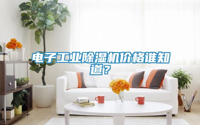 電子工業(yè)除濕機價格誰知道？