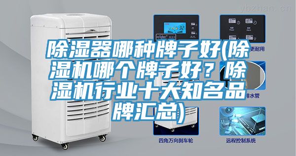 除濕器哪種牌子好(除濕機(jī)哪個(gè)牌子好？除濕機(jī)行業(yè)十大知名品牌匯總)