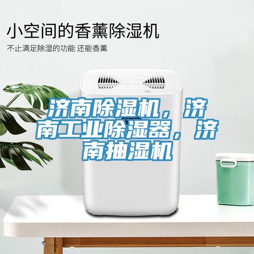 濟(jì)南除濕機(jī)，濟(jì)南工業(yè)除濕器，濟(jì)南抽濕機(jī)
