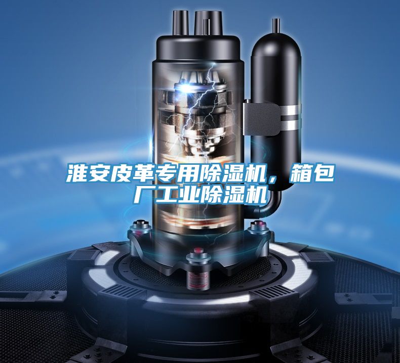 淮安皮革專(zhuān)用除濕機(jī)，箱包廠(chǎng)工業(yè)除濕機(jī)