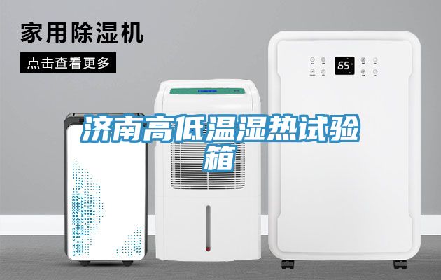 濟(jì)南高低溫濕熱試驗箱