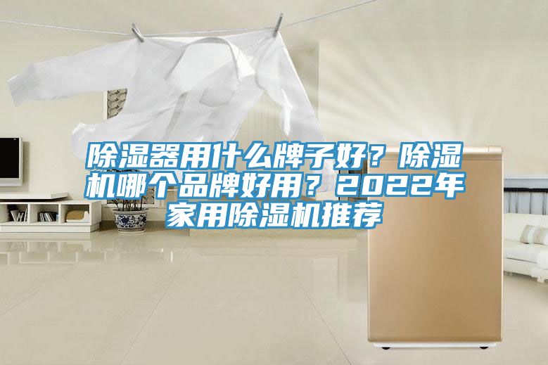 除濕器用什么牌子好？除濕機(jī)哪個(gè)品牌好用？2022年家用除濕機(jī)推薦