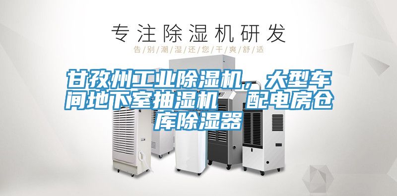 甘孜州工業(yè)除濕機(jī)，大型車間地下室抽濕機(jī)  配電房倉(cāng)庫(kù)除濕器