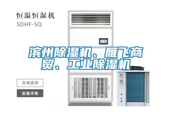 濱州除濕機(jī)、雁飛商貿(mào)、工業(yè)除濕機(jī)