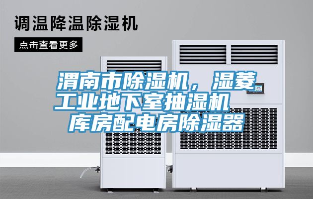 渭南市除濕機，濕菱工業(yè)地下室抽濕機  庫房配電房除濕器