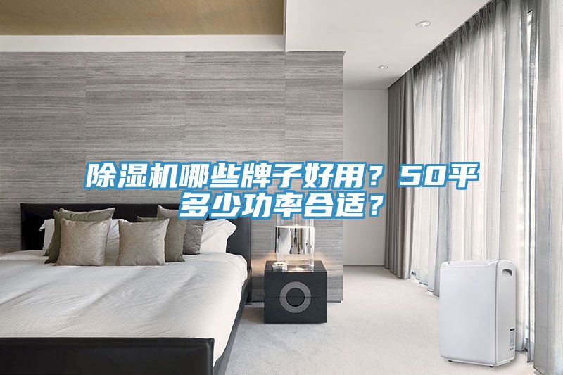 除濕機(jī)哪些牌子好用？50平多少功率合適？