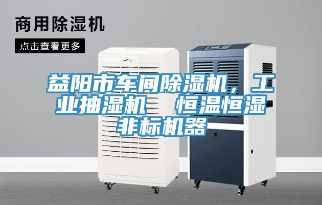 益陽(yáng)市車(chē)間除濕機(jī)，工業(yè)抽濕機(jī)  恒溫恒濕非標(biāo)機(jī)器