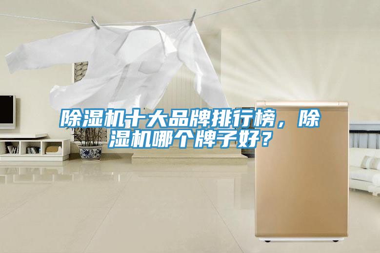 除濕機十大品牌排行榜，除濕機哪個牌子好？