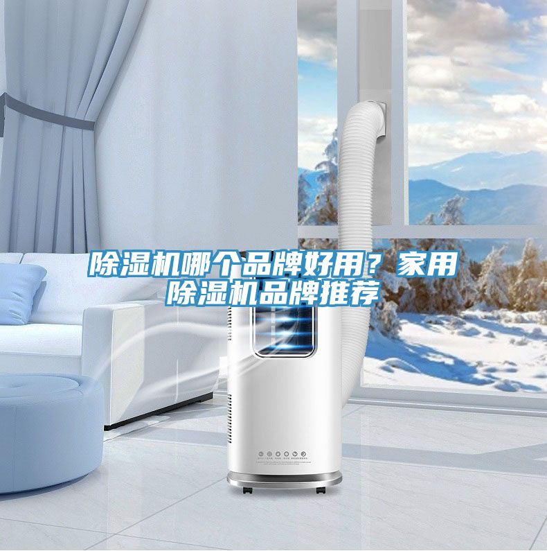 除濕機(jī)哪個(gè)品牌好用？家用除濕機(jī)品牌推薦
