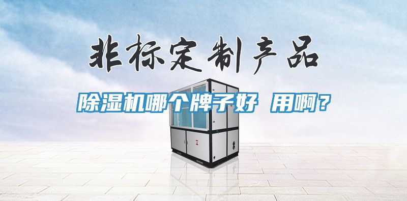 除濕機哪個牌子好 用?。?></div>
								<div   id=
