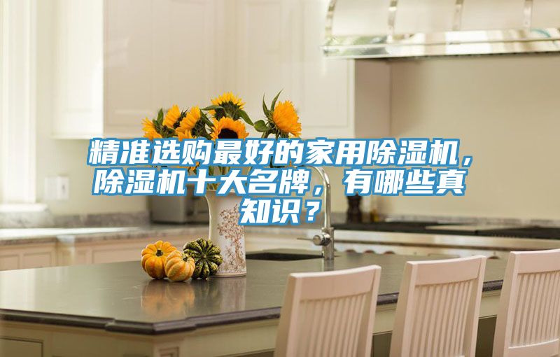 精準(zhǔn)選購最好的家用除濕機，除濕機十大名牌，有哪些真知識？
