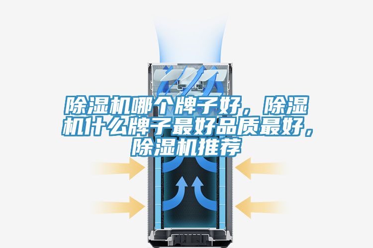 除濕機(jī)哪個(gè)牌子好，除濕機(jī)什么牌子最好品質(zhì)最好，除濕機(jī)推薦