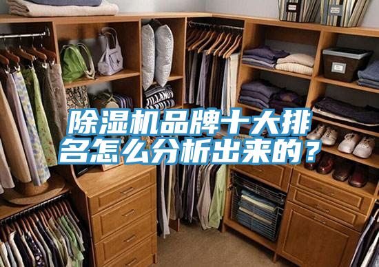 除濕機(jī)品牌十大排名怎么分析出來(lái)的？