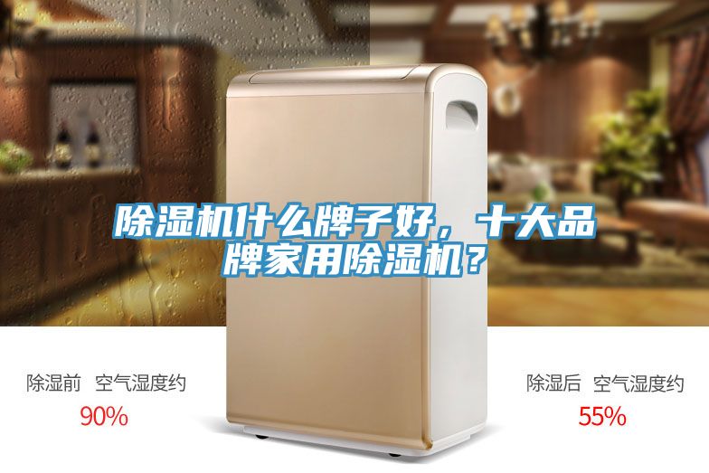 除濕機什么牌子好，十大品牌家用除濕機？