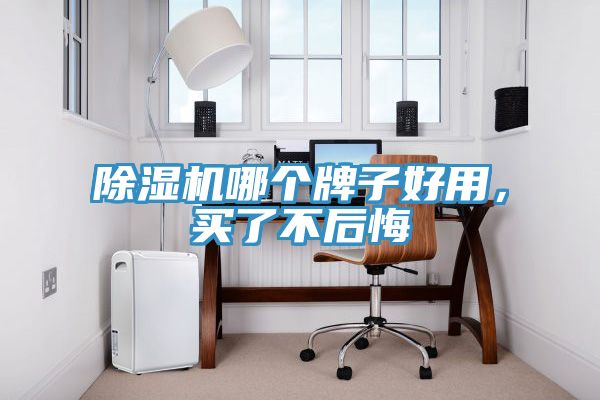 除濕機(jī)哪個(gè)牌子好用，買了不后悔