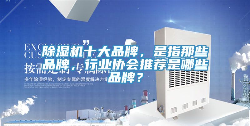 除濕機(jī)十大品牌，是指那些品牌，行業(yè)協(xié)會(huì)推薦是哪些品牌？