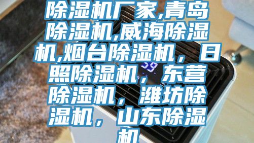 除濕機(jī)廠家,青島除濕機(jī),威海除濕機(jī),煙臺(tái)除濕機(jī)，日照除濕機(jī)，東營(yíng)除濕機(jī)，濰坊除濕機(jī)，山東除濕機(jī)