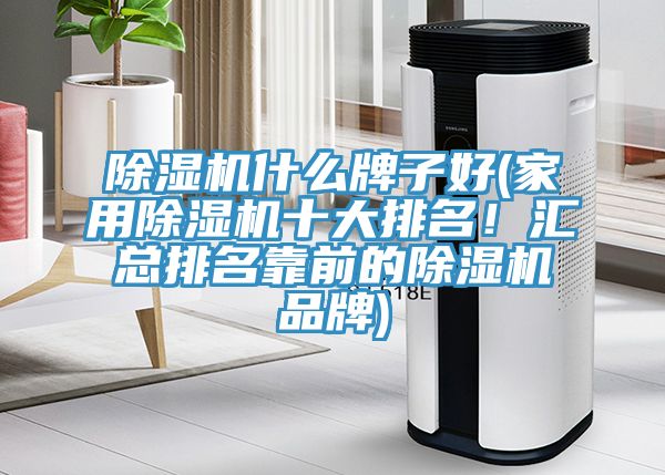 除濕機什么牌子好(家用除濕機十大排名！匯總排名靠前的除濕機品牌)
