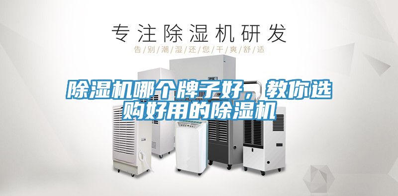 除濕機(jī)哪個(gè)牌子好，教你選購(gòu)好用的除濕機(jī)