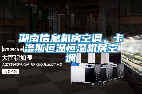 湖南信息機房空調(diào)，卡洛斯恒溫恒濕機房空調(diào)