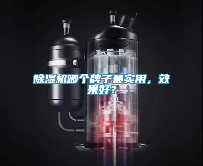 除濕機(jī)哪個(gè)牌子最實(shí)用，效果好？