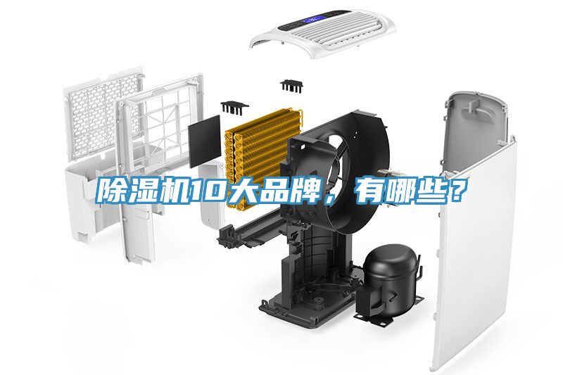除濕機10大品牌，有哪些？