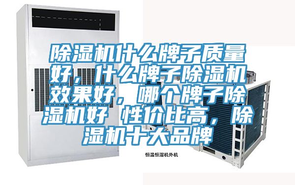 除濕機(jī)什么牌子質(zhì)量好，什么牌子除濕機(jī)效果好，哪個(gè)牌子除濕機(jī)好 性價(jià)比高，除濕機(jī)十大品牌