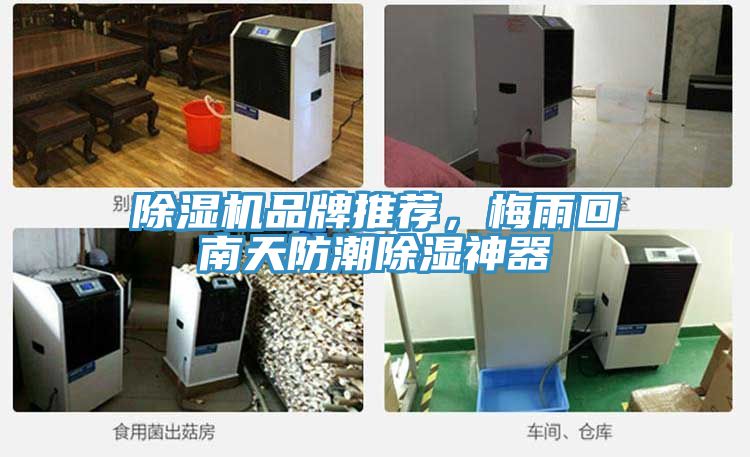 除濕機(jī)品牌推薦，梅雨回南天防潮除濕神器