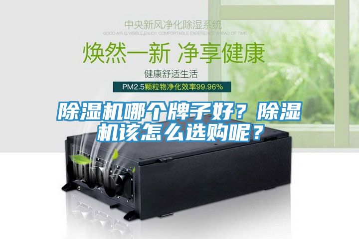除濕機(jī)哪個牌子好？除濕機(jī)該怎么選購呢？