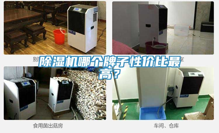 除濕機(jī)哪個牌子性價比最高？